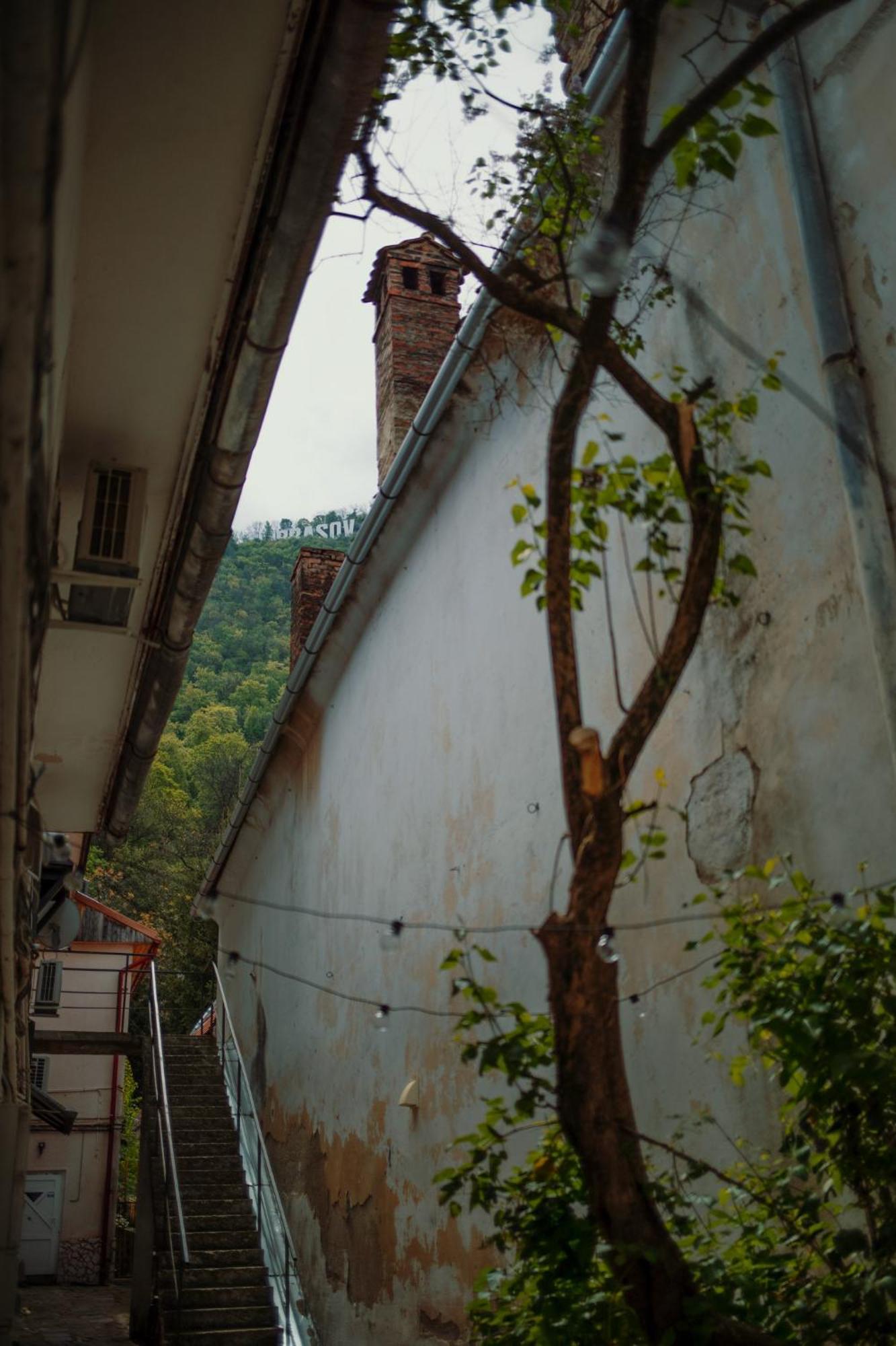 3 Min To Everything-Stylish-Modern-Old Fortress Брашов Экстерьер фото
